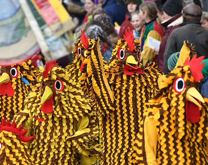 Seegockel beoim Umzug. (Foto: Felix Kästle)