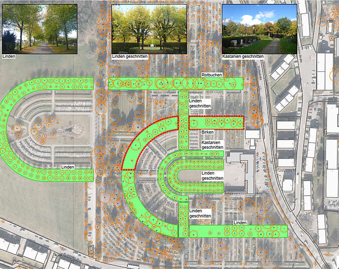 Plan mit grün eingezeichneten Wegen vom Friedhof