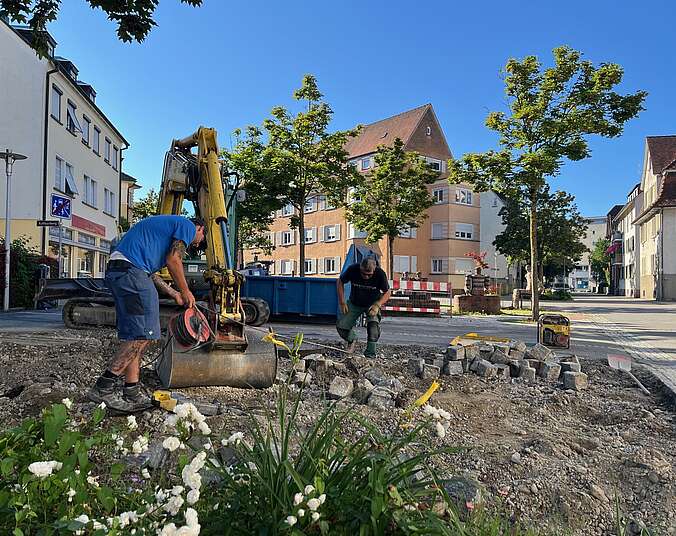 Zwei Männer entsiegeln Asphaltfläche, Blumen im Vordergrund